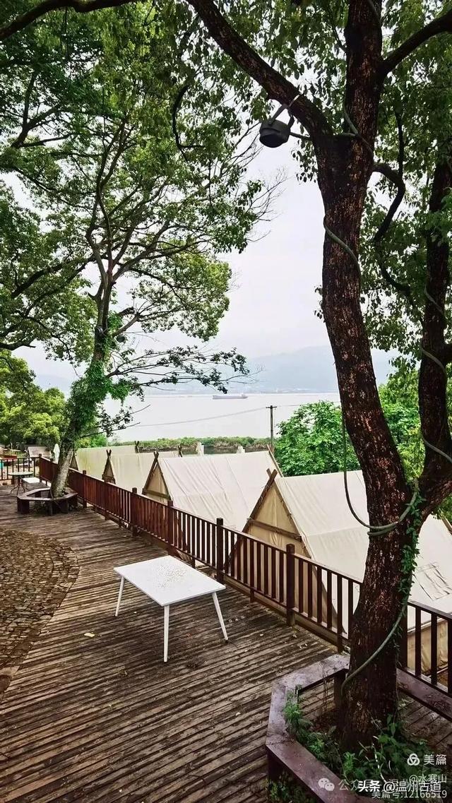 浙江这个山海古村,处在网红风景线上,丛林秘境中藏着一片花海