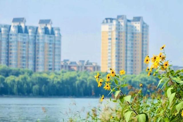 运河新声起，顺义这条“闻香寻味”线路藏不住了！