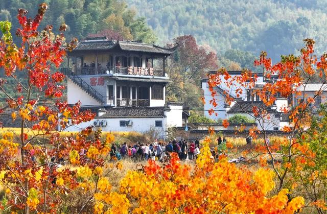 秋韵黟川·山水秘境颐养之旅 | 皖美秋日