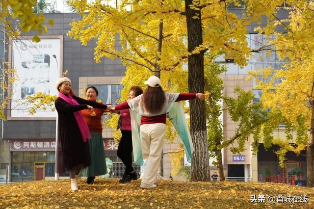 错过等明年！宜宾今年宝藏银杏打卡地合集在这里