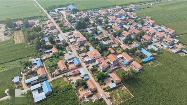 魅力曹县楼庄镇