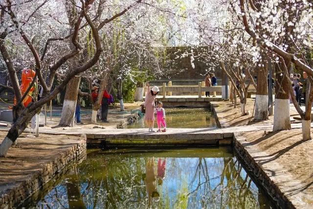 世界城市日,看东城,拔节生长——