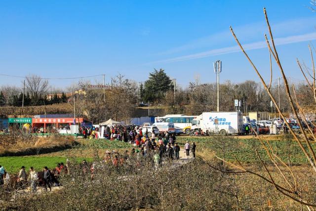 彬州红柿“火爆”出圈游客激增陕西移动5G守护冬日暖意