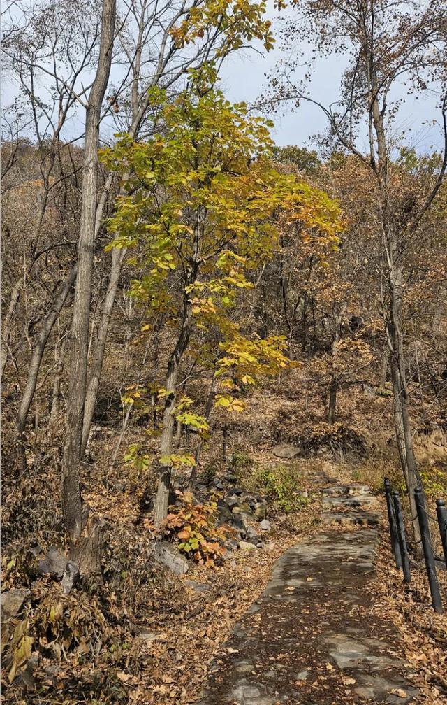一脚踏进雪与秋的交界处,京郊深山里藏着深秋最温柔的惊喜!