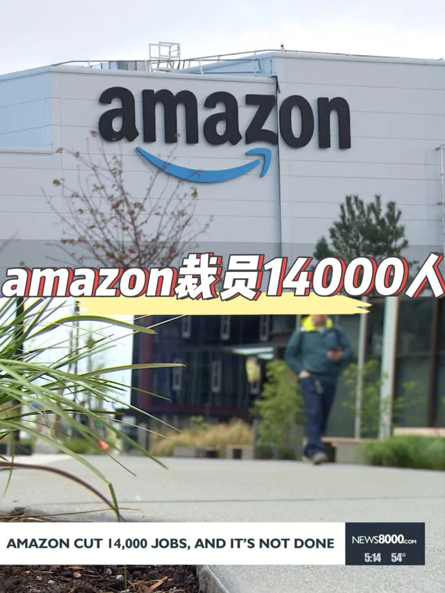 资本无情! 亚马逊利润暴涨却裁员3万, 声称AI可替人, 刘强东预言成真