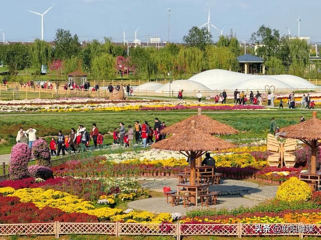 看完这朵看那朵🤩