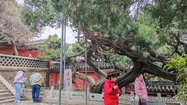 泰安：它被誉为泰山“开山第一庙”，却常常遭到登山游客的忽略
