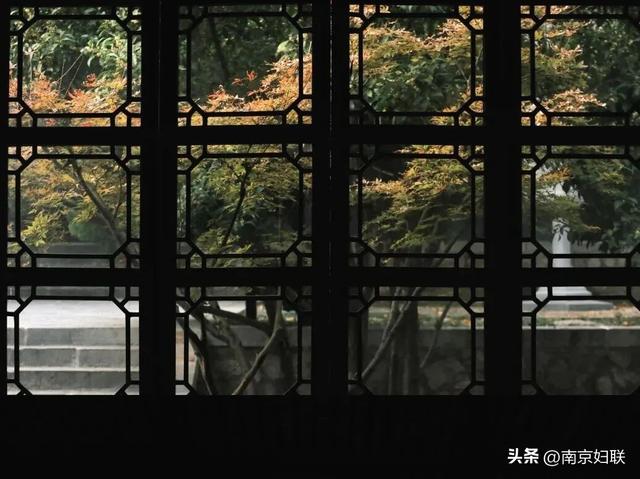 南京这些“魔法之窗”，怎么拍都出片！