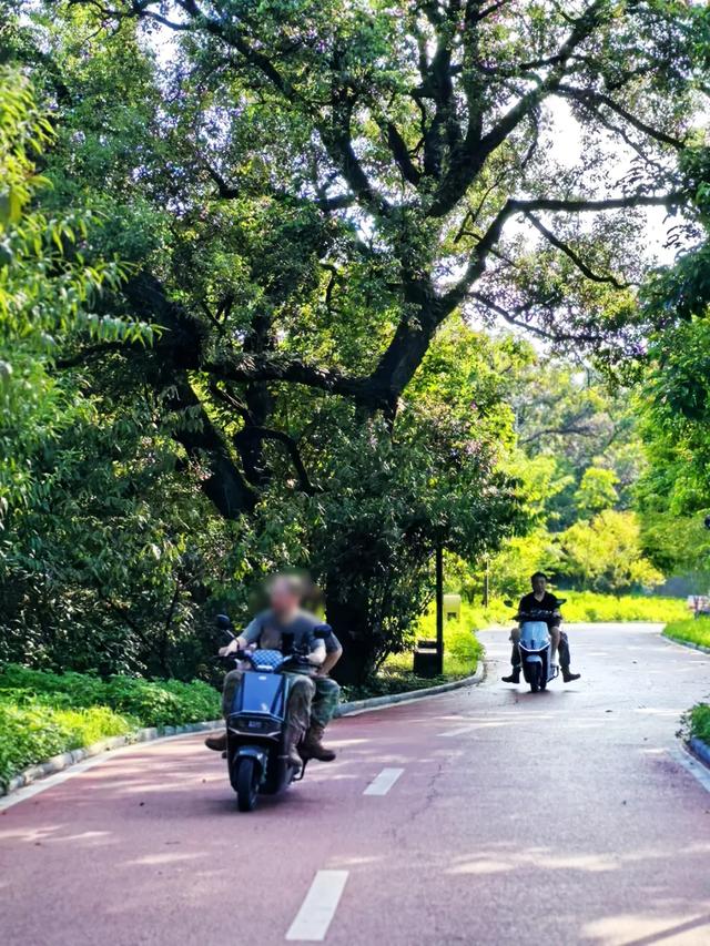 桂林：乐骑青山绿水间！
