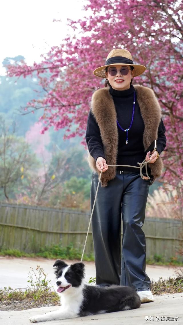 山涧茶垄樱似霞 建水云龙山冬日樱韵正当时