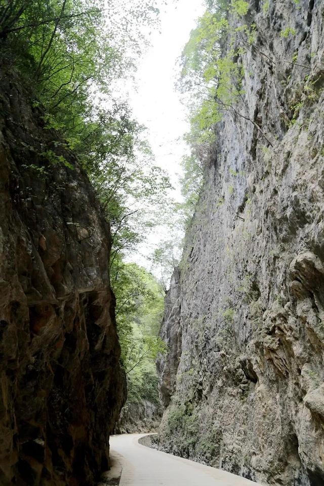 【千里嘉陵江 虞关好风光】北雀观景台红叶燃遍两岸，这份秋日限定美景请查收