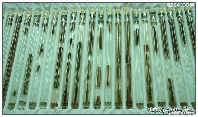 山东行游影记（53）—银雀山汉墓竹简博物馆（四）
