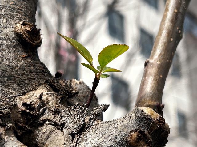 生命最低门槛是什么？海洋实验意外发现新古菌，刷新生命极简纪录