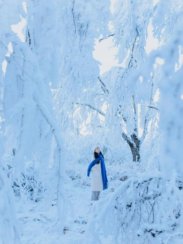 在雅安！！这么美的雪景我当然狠狠宣传啊啊啊！！