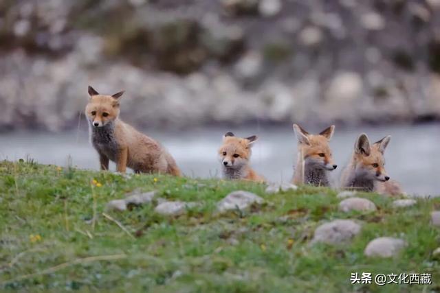 误会太大！冬天去了一趟西藏，想象被颠覆了！