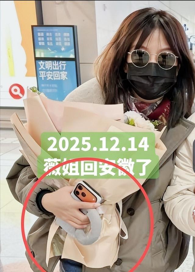 落毛凤凰不如鸡！49岁赵薇再曝近况，全身包裹严实 不敢露脸怕见人