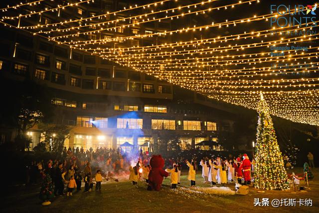 “爪爪心愿·暖冬童话夜”圣诞亮灯温情启幕萌宠与爱共绘冬日美好