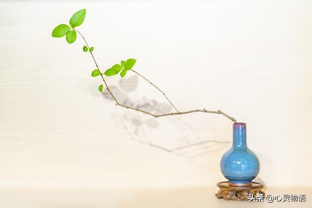 女人主动“勾”男人时，90%的女人都会说这两句话，男人别不懂