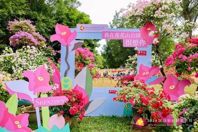 这周五，莲花山要热闹起来了！！