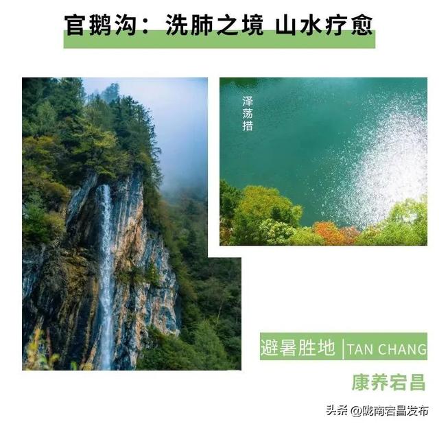 宕昌一码游，邀您赴一场身归自然食养本源的康养之约！