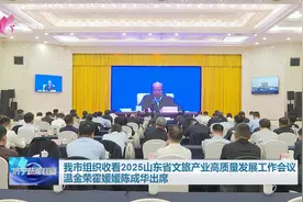 济宁市组织收看2025山东省文旅产业高质量发展工作会议 温金荣霍媛媛陈成华出席图片