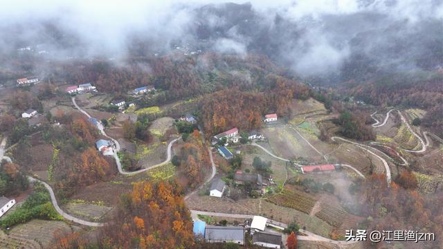 雾弥山峦