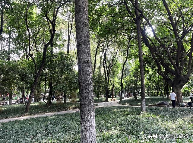 成都市内乘凉公园，风景秀美、清凉，不要门票，地铁公交可达！