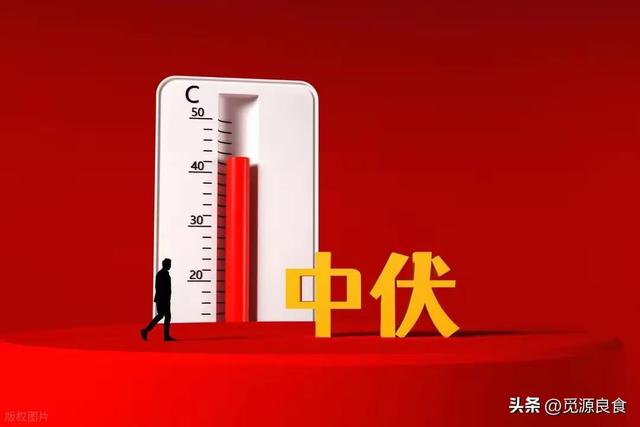 中伏.立秋与秋老虎.三者的气象博弈与文化意蕴.