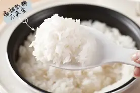 10大建议买的电饭锅推荐？电饭锅怎么选？煮饭好吃，这5点很重要图片