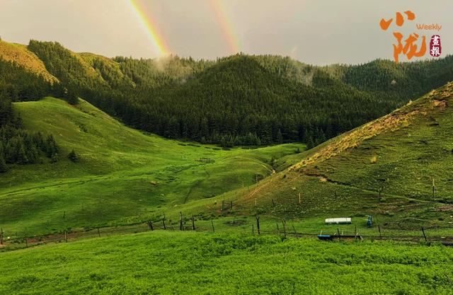 【小陇画报·406期】红石窝草原的秋 藏在高山上的诗意