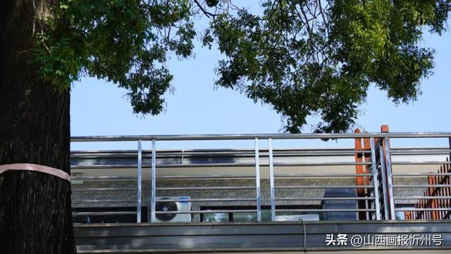 又见奇村 | 槐庭温泉民宿：老槐树下泡温汤，休闲康养两不误