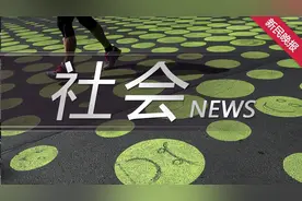 拆除违建72处、面积逾28000平方米 青浦区白鹤镇以“零容忍”态度严打违建行为图片