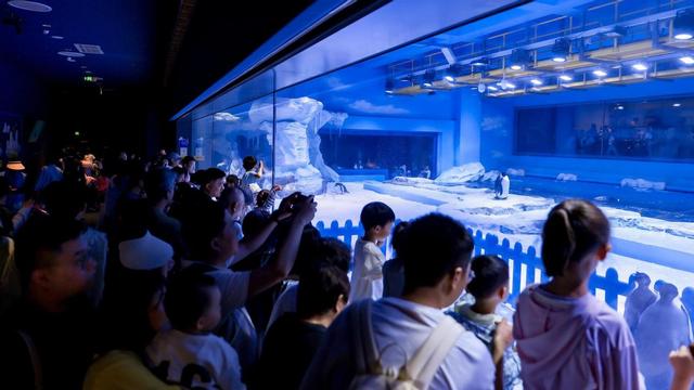 “人气”和“口碑”双丰收！郑州海昌海洋公园五一客流火爆，文旅消费热力升腾