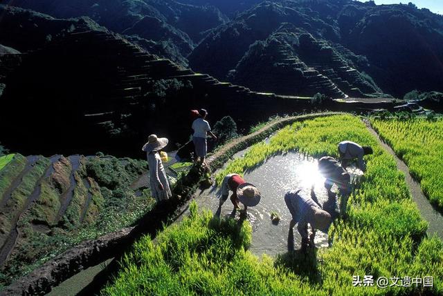 云端阆苑仙境，全球三大绝美梯田景观，个个世界文化遗产