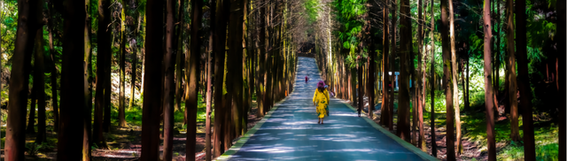 好玩苍溪：红色旅游+人文艺术+自然风光+果园采摘，这样玩才过瘾