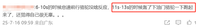 摩旅青海被牧民打头后续！7峰骆驼丢失，当地人发声 骑手有错在先