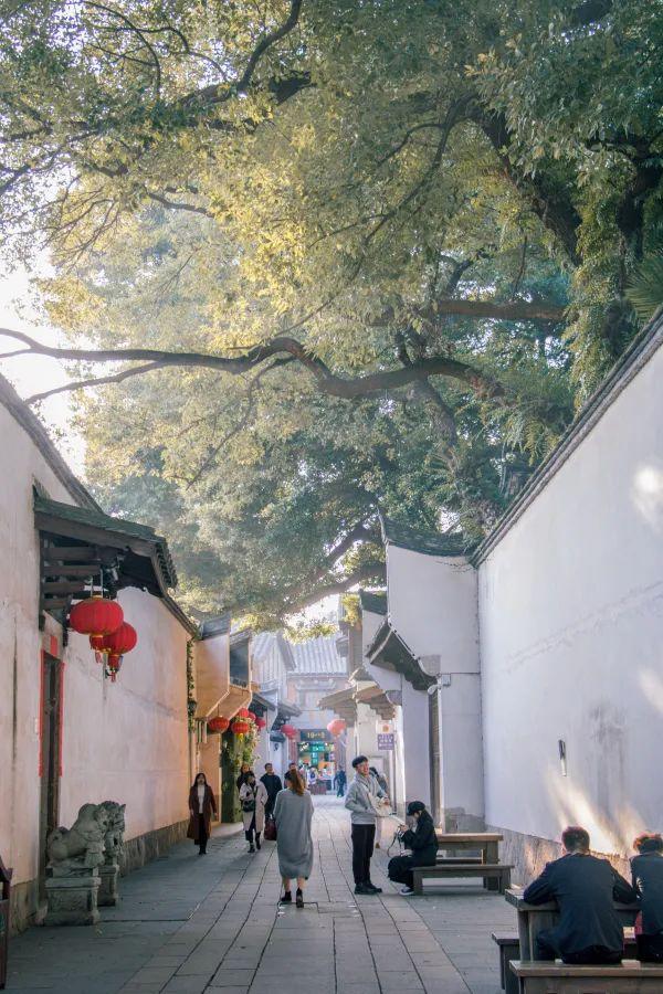 福州最美骑行线路来啦，这个周末换种方式逛福州！