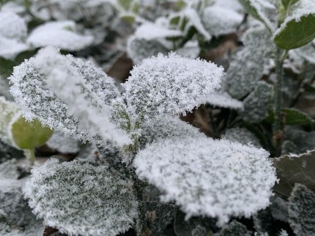 “不怕冬至阴一天	，就怕冬至一天晴”，明日冬至，晴天有啥预兆？