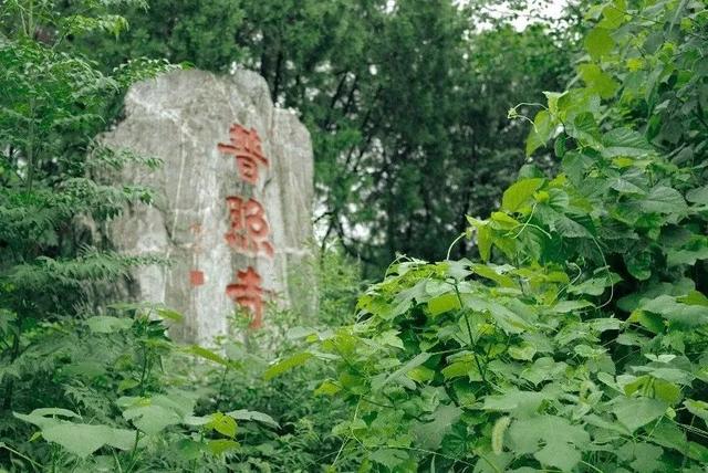 高铁直达！我猜每一个来这的人都需要这份攻略...