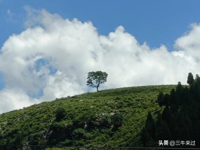 无为在歧路，章丘东南行