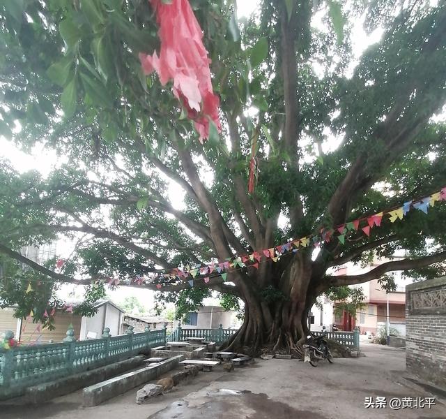 广西南宁市上林县500年老集市，至今还保留明清时期的九街十八巷