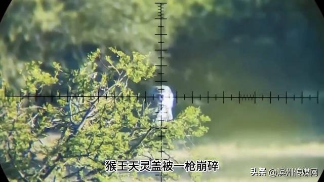 峨眉山人猴大战谣言追踪:流传多年