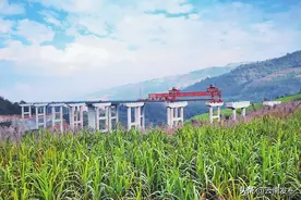 孟勐高速公路有序推进图片