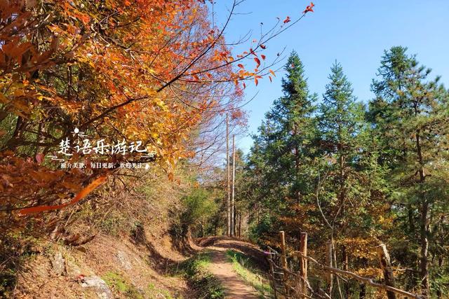 浙江宁波这两条古道堪称黄金组合，景色比油画还要美，游玩正当时