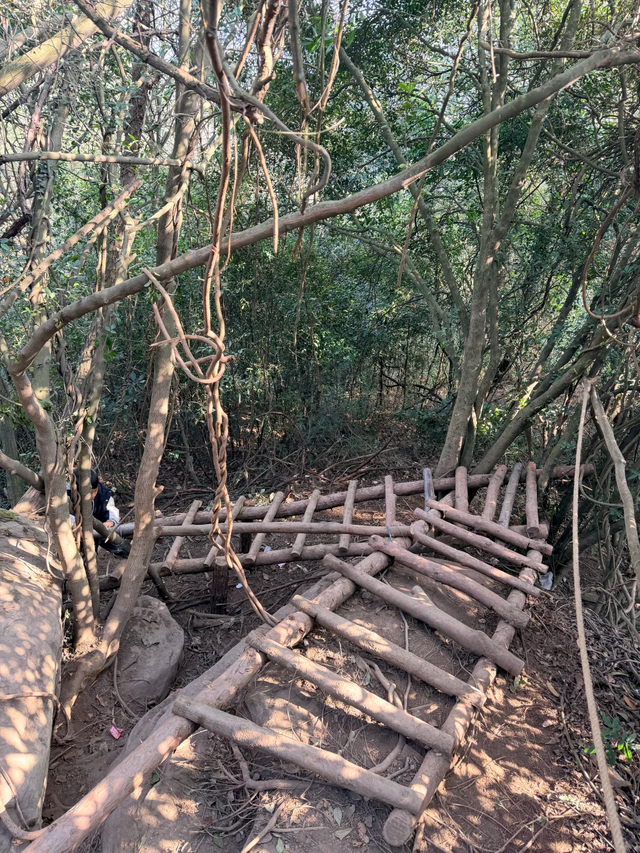 奖牌首发！成都1.5h新晋野趣徒步线，绳索上下+森林秋千，太野了