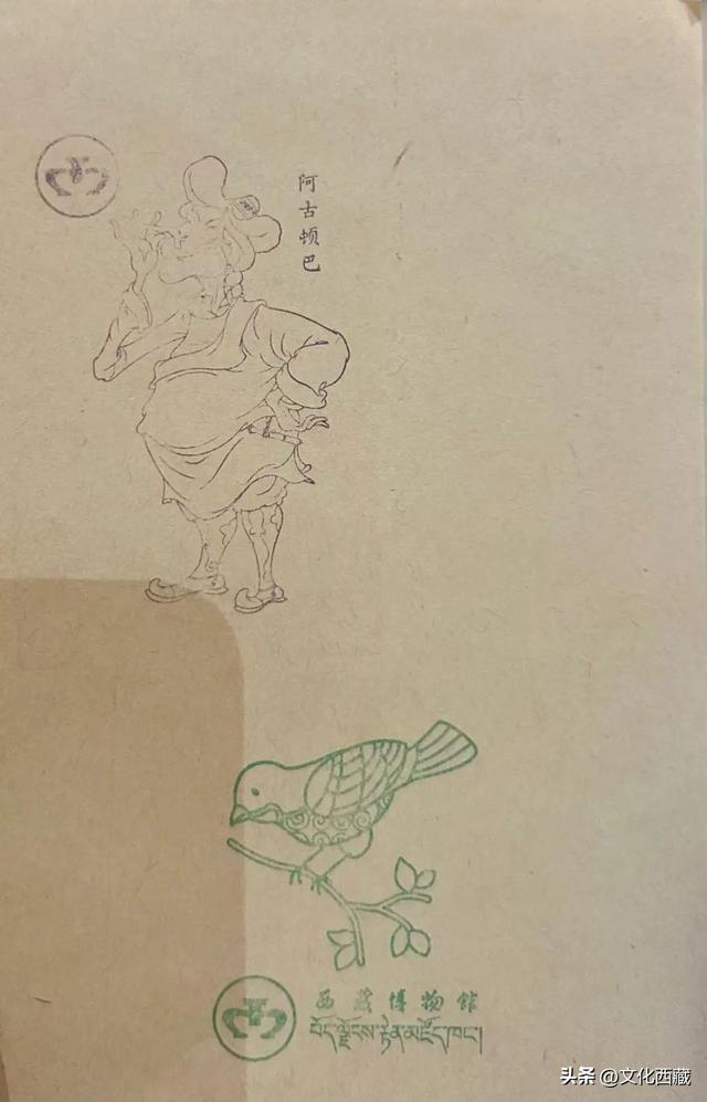 暑假博物馆火爆出圈！带娃来西藏，去这些地方“下馆子”就对了！