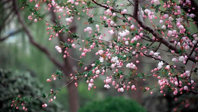老伴退休跟人自驾游3年，回来我提离婚，她说又没做错为啥要分开