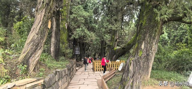 游剑阁叹古蜀道行难，走高速赞今四川玩易