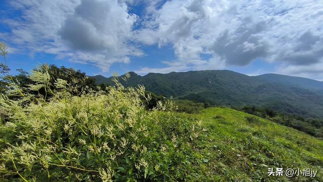 两次本溪南岭徒步记｜高山草甸，湖池松林，我被南岭种草