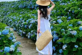 从小胖嘟嘟的我，30年体重无变化，我的减肥方案，健康美丽又长寿图片